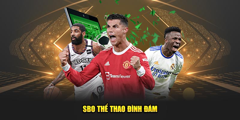 SBO-the-thao-dinh-dam