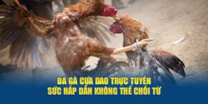 da-ga-cua-dao-truc-tuyen-suc-hap-dan-khong-the-choi-tu-