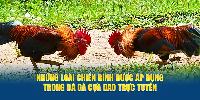 nhung-loai-chien-binh-duoc-ap-dung-trong-da-ga-cua-dao-truc-tuyen