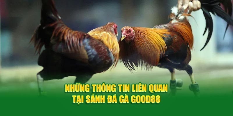 nhung-thong-tin-lien-quan-tai-sanh-da-ga-good88